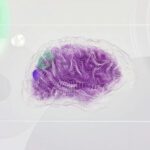 Ai Brain - An artist’s illustration of artificial intelligence (AI). This image represents how machine learning is inspired by neuroscience and the human brain. It was created by Novoto Studio as par...