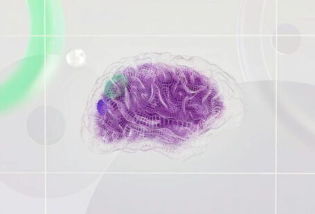 Ai Brain - An artist’s illustration of artificial intelligence (AI). This image represents how machine learning is inspired by neuroscience and the human brain. It was created by Novoto Studio as par...