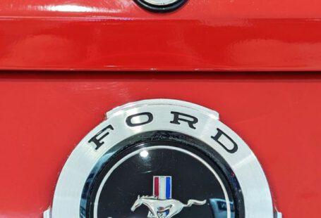 Compatibility Logo - The emblem on a red mustang car